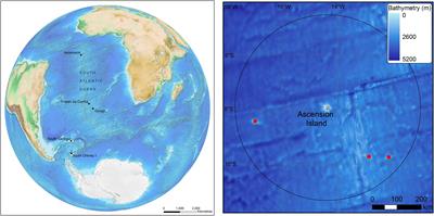 Extremes in Benthic Ecosystem Services; Blue Carbon Natural Capital Shallower Than 1000 m in Isolated, Small, and Young Ascension Island’s EEZ